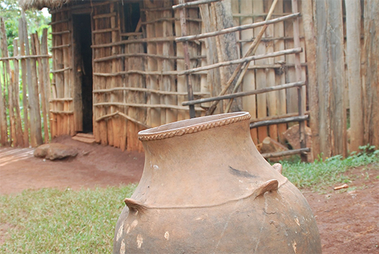 Jug in front of house